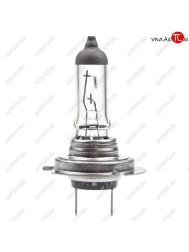 Лампа 12V H7 55W PX26d (1шт.) Essential VALEO VALEO 032009 VALEO 032009