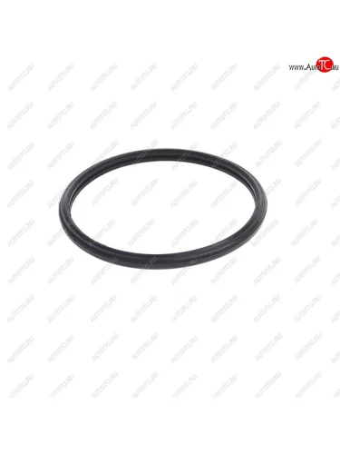 Кольцо ГАЗ-3302 дв.CUMMINS ISF 2.8 уплотнительное термостата (ОАО ГАЗ) ГАЗ 3954829f ГАЗ 3954829f