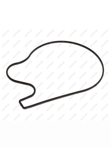 Кольцо уплотнительное JAC N56 насоса водяного резиновое OE JAC 1041103fe010