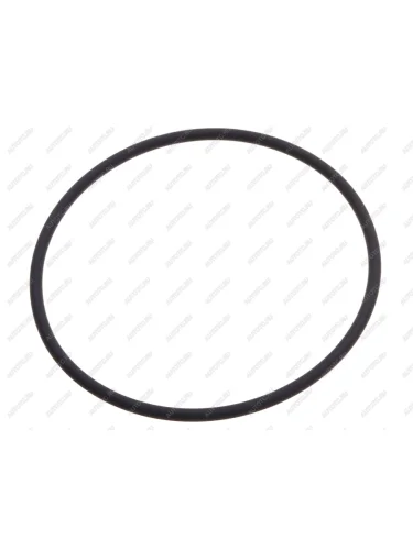 Кольцо MAN уплотнительное BOSCH BOSCH 2420210038