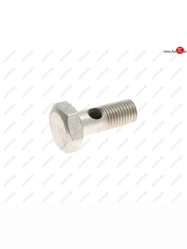 Болт-штуцер М8х1-6gх21 КАМАЗ-ЕВРО-3 трубки топливной (ОАО КАМАЗ) KAMAZ 740.70-1104368