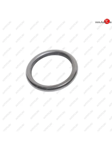 Кольцо уплотнительное КАМАЗ-5490 MERCEDES дв.OM457 форсунки топливной ELRING ELRING 074.870