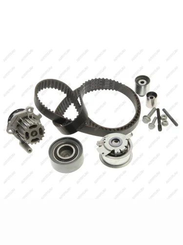 Комплект ГРМ AUDI A3 (03-13) с насосом водяным INA INA 530050330