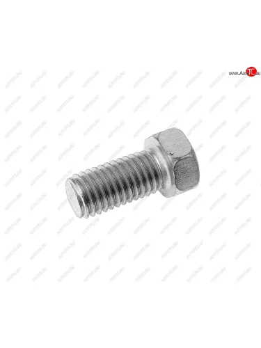 Болт М12х1.75х25 ЗИЛ ушка подъема двигателя ЭТНА Красная Этна ОАО 201538-п29