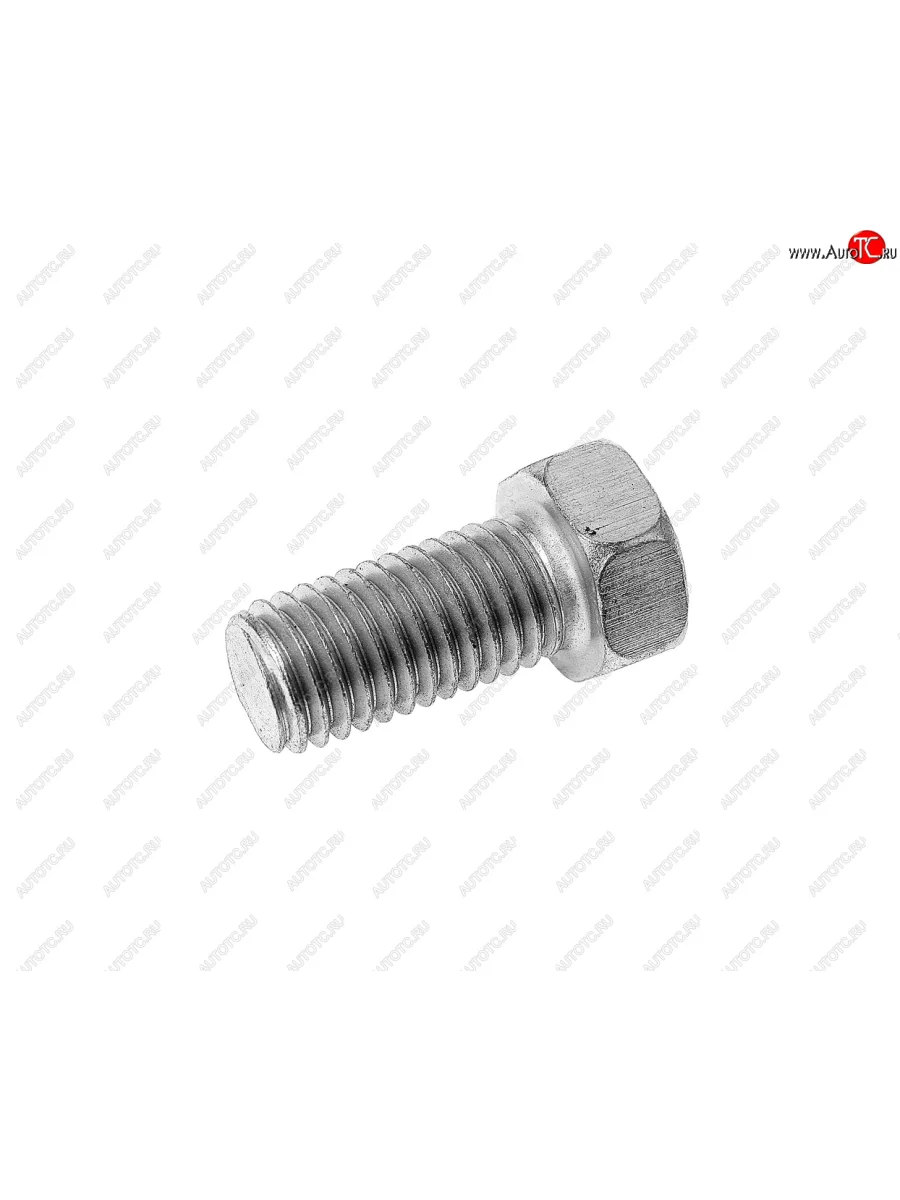 Болт М12х1.75х25 ЗИЛ ушка подъема двигателя ЭТНА Красная Этна ОАО 201538-п29  в Самаре Самарской области