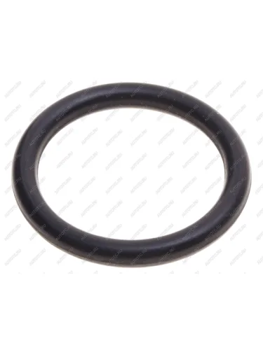 Кольцо уплотнительное SHAANXI SHACMAN пальца колодки тормозной (30x4.5) (мост HDZ237HDZ300) MANSONS MANSONS or03