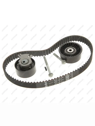 Комплект ГРМ RENAULT Laguna (01-07),Master (00-) INA INA 530019810