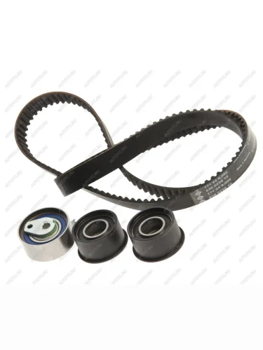 Комплект ГРМ OPEL Antara (06-),Omega B (99-03) INA INA 530035810