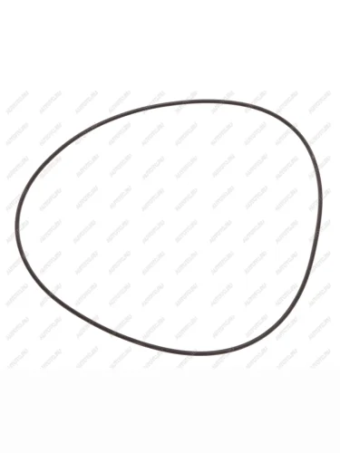 Кольцо уплотнительное SITRAK HOWO (190х3) OE SITRAK mq6569364424