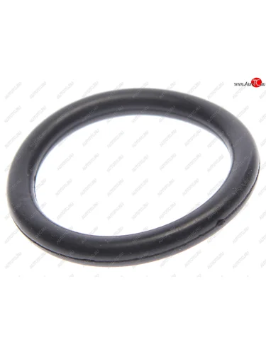 Кольцо уплотнительное SITRAK HOWO фильтра осушителя (к фильтру WG9000360521+001) OE SITRAK wg9000360521+0021