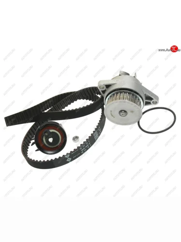 Комплект ГРМ VW AUDI с водяным насосом INA INA 530016730