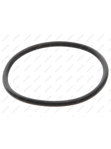 Кольцо уплотнительное VW AUDI SEAT SKODA AVERS AVERS wht007212b