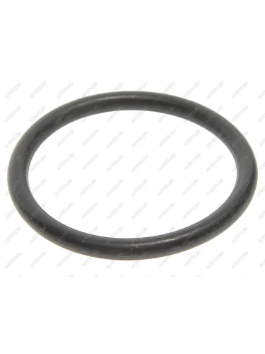 Кольцо уплотнительное DAF CF,XF85,95 корпуса термостата (51х5мм) LEMA LEMA 106820