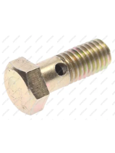 Болт-штуцер М8х1.25х20 мм 2 отверстия ПОЛИТЕХНИК ПОЛИТЕХНИК shbm8x1.25x20