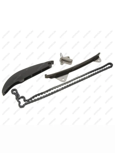 Комплект цепи ГРМ HYUNDAI Creta (16-) PATRON PATRON ptck064