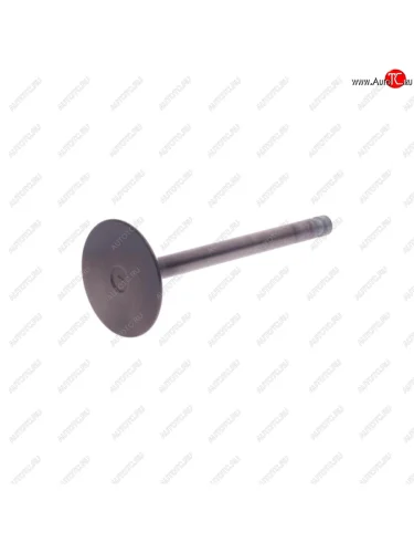 Клапан впускной KIA Bongo 3 (06-) (2.73.0) (1шт.) ANJUN ANJUN 0k65d-12111