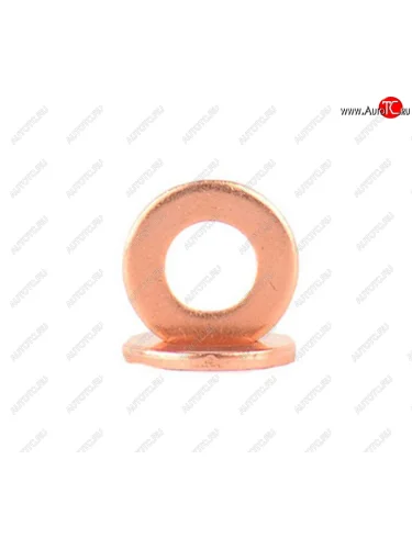 Кольцо уплотнительное FORD Connect (02-06) форсунки BSG BSG bsg30116104