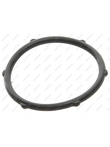 Кольцо уплотнительное HAVAL H6 насоса масляного OE GREAT WALL 1002013eg01
