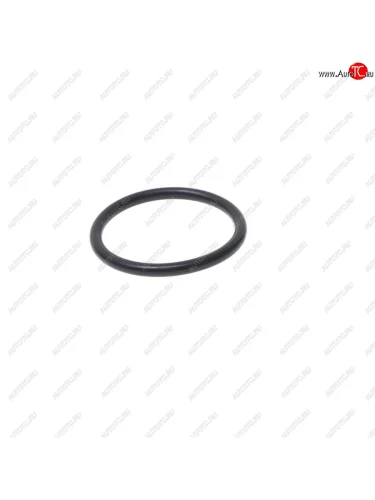 Кольцо уплотнительное FORD Transit корпуса термостата BSG BSG bsg30230042