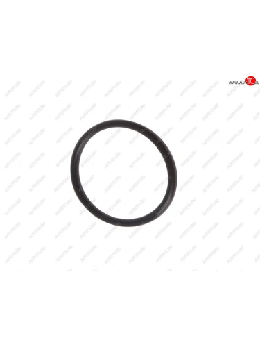 Кольцо 027-031-25 ГОСТ 9833-73 NO NAME 027-031-25