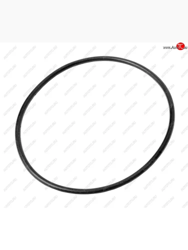 Кольцо 100-106-36 МАЗ уплотнительное цапфы ГОСТ 9873-33 NO NAME 100-106-36-2-3