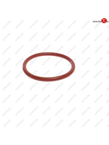 Кольцо уплотнительное SSANGYONG Kyron (05-) насоса водяного OE SSANGYONG 0179972148