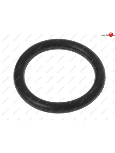 Кольцо 015-019-25 ГОСТ 9833-73 NO NAME 015-019-25