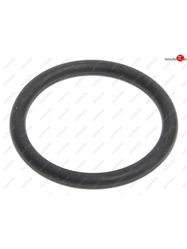 Кольцо уплотнительное JAC N120,N200,N350 КАМАЗ Компас-12 пробка сливной КПП OE JAC 6js160t-1709588-1