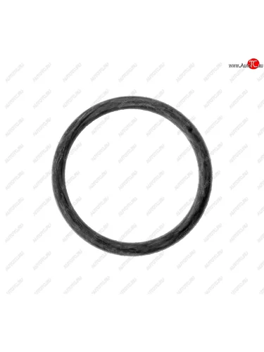 Кольцо ЗМЗ-406 уплотнительное втулки коленвала NO NAME 406-1005044