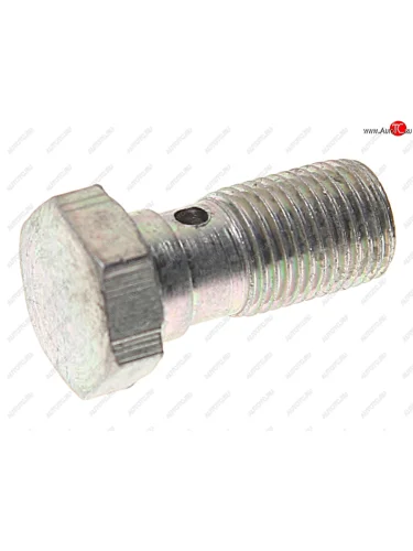 Болт-штуцер М10х1.0х20 ГАЗ-2217,3102,3110 шланга тормозного (ОАО ГАЗ) ГАЗ 3110-3506012