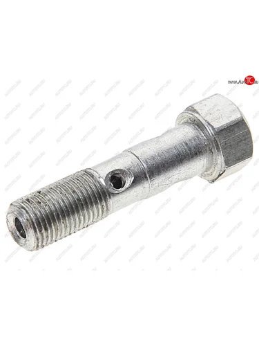 Болт-штуцер М10х1.0х40 МАЗ трубки подводящей к ТНВД АВТОДИЗЕЛЬ ЯМЗ 310239-п29