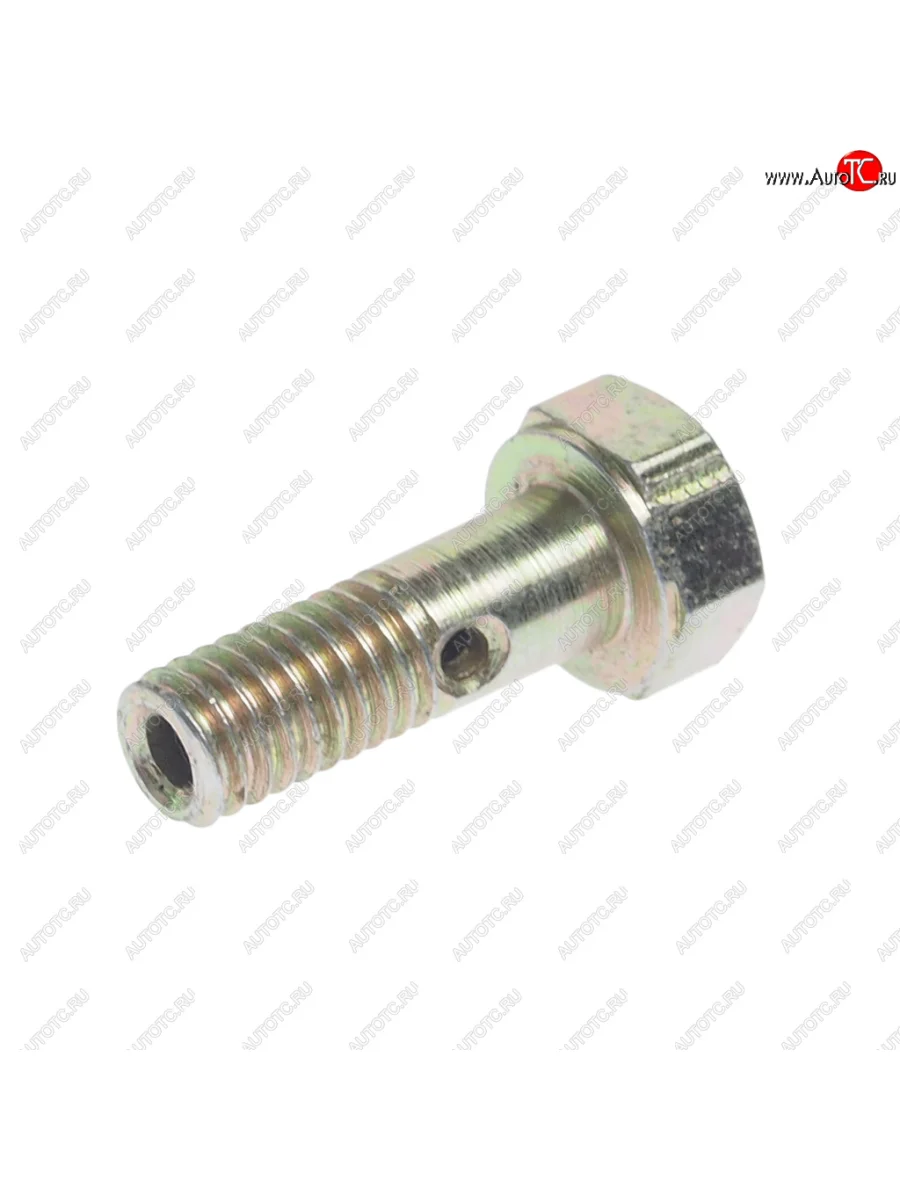 Болт-штуцер М6х1.0х17 МАЗ,ЯМЗ-7511 крепления трубки дренажной NO NAME 7511.1104433  в Самаре Самарской области