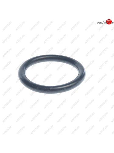 Кольцо уплотнительное SCANIA пальца колодки тормозной (31x4.5) FEBI FEBI 02191