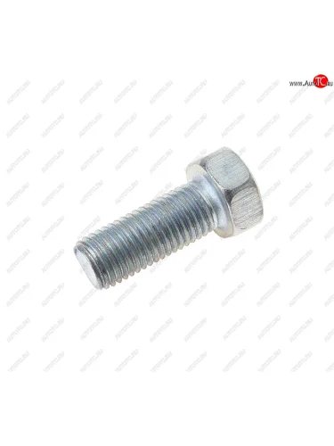 Болт М8х1.0х20 ЗИЛ-130 петли дверей кабины, ГАЗ-240010-3102 петли крышки багажника ЭТНА Красная Этна ОАО 201476-п29