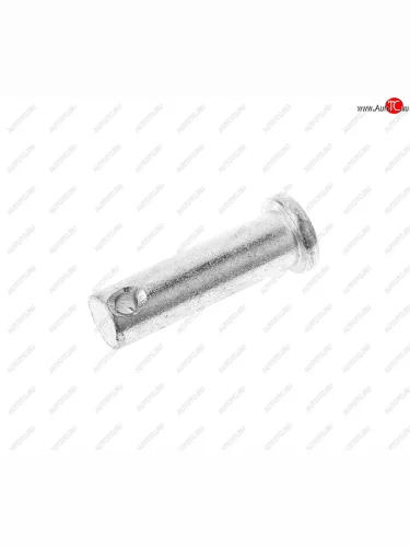 Палец ЗИЛ 2-го ролика стояночного тормоза, сиденья переднего ГАЗ-3307 ЭТНА Красная Этна ОАО 260060-п29