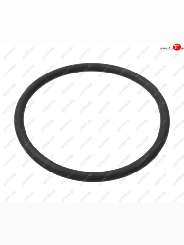 Кольцо ЯМЗ-650.10 уплотнительное трубы теплообменника АВТОДИЗЕЛЬ ЯМЗ 650.1013638