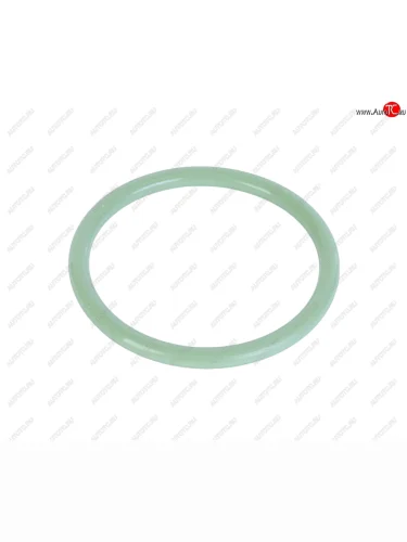 Кольцо ЯМЗ-650.10 уплотнительное трубы теплообменника зеленое силикон РД РУССКИЙ ДВИГАТЕЛЬ 650.1013642
