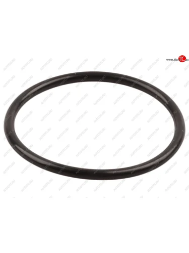 Кольцо уплотнительное JAC N350 (WP10.336E53) термостата OE JAC 680340065