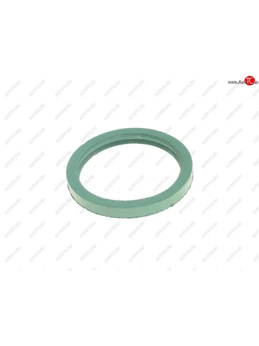 Кольцо КАМАЗ уплотнительное кулака разжимного МБС зеленое АВТОРЕСУРС АВТОРЕСУРС 5320-3501117