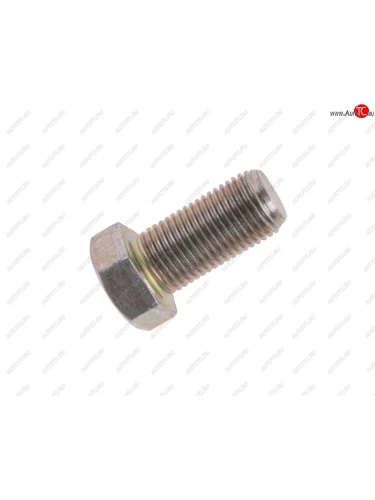 Болт М10х1.0х20 ГАЗ-2217,2705 опоры механизма двери боковой NO NAME 201516-п29