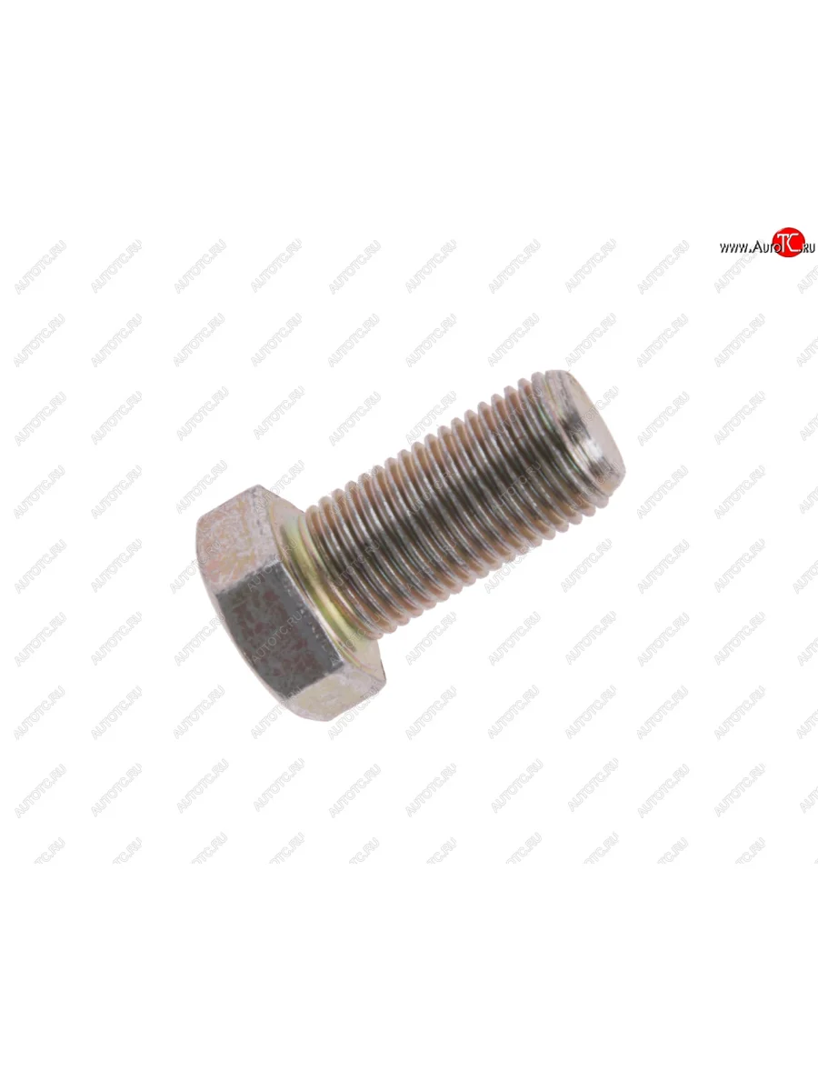 Болт М10х1.0х20 ГАЗ-2217,2705 опоры механизма двери боковой NO NAME 201516-п29  в Самаре Самарской области