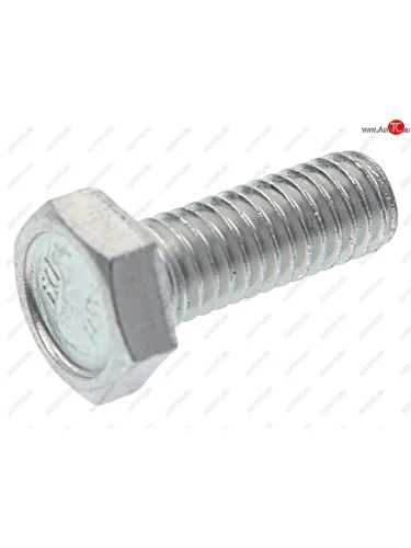 Болт М6х1.0х16 ВАЗ-2101 успокоителя цепи короткий БЕЛЗАН БЕЛЗАН 10902221