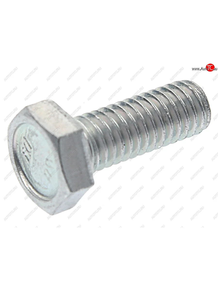 Болт М6х1.0х16 ВАЗ-2101 успокоителя цепи короткий БЕЛЗАН БЕЛЗАН 10902221  в Самаре Самарской области