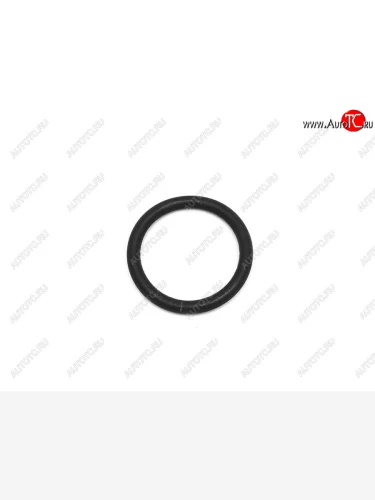 Кольцо уплотнительное трамблера NISSAN ALMERA N15 95-00BLUEBIRD 91-01MARCH 92-02PRIMERA 96-01SER NISSAN 22131-53J10