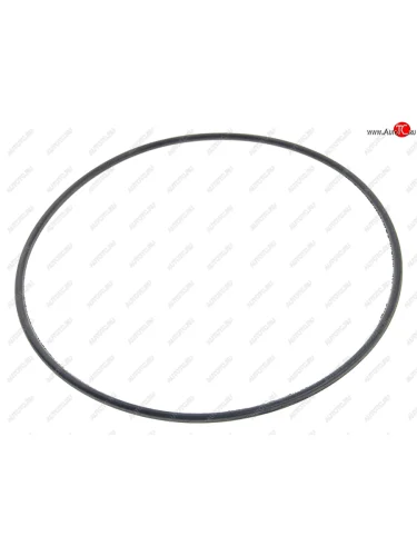 Кольцо ЯМЗ уплотнительное ротора Ф.Ц.О.М АВТОДИЗЕЛЬ ЯМЗ 236-1028246