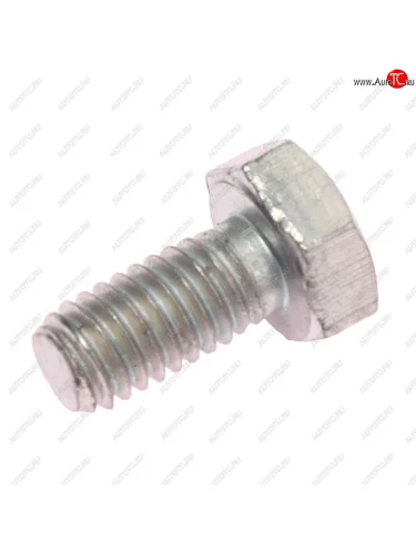 Болт М6х1.0х12 ВАЗ-2101 петли капота (кл.проч. 8.8) ТТМ ТМ 10902021