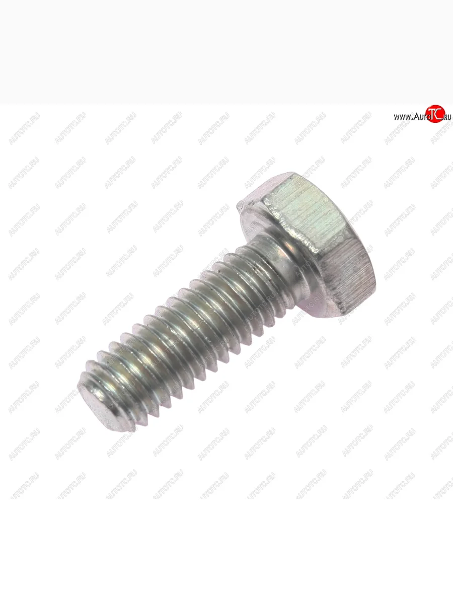Болт М6х1.0х16 ВАЗ-2101 успокоителя цепи короткий (кл.проч. 8.8) ТТМ ТМ 10902221  в Самаре Самарской области