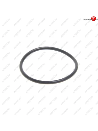 Кольцо МАЗ колодки тормозной (колеса дискового) NO NAME 032-035-19-2-2