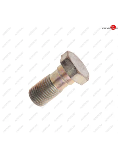 Болт-штуцер М10х1.0х20 ГАЗ-2217,3102,3110 шланга тормозного NO NAME 3110-3506012