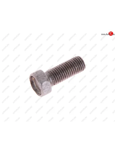 Болт М8х1.0х20 ЗИЛ-130 петли дверей кабины, ГАЗ-240010-3102 петли крышки багажника NO NAME 201476-п29